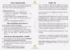 Unga Galdurs leiðbeiningar